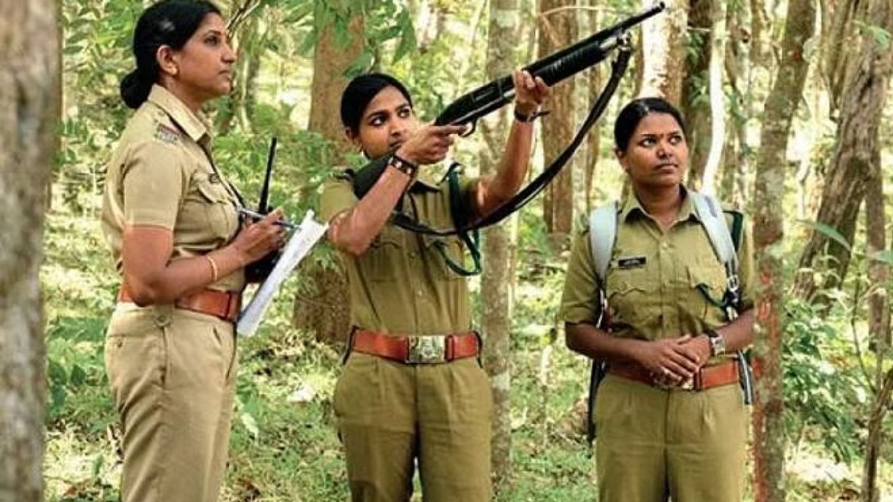 UP Forest Guard Vacancy 2025 ऐसे करें आवेदन और पाएं 50,000 महीने की सरकारी नौकरी!